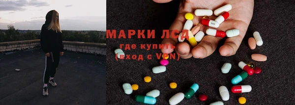 стаф Алексин