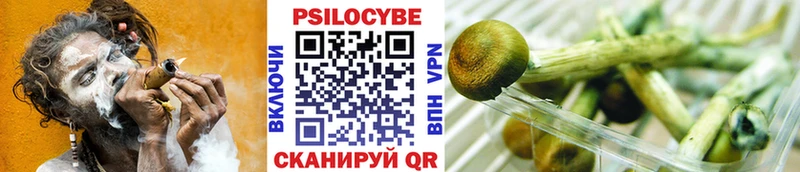 Псилоцибиновые грибы GOLDEN TEACHER наркотики Елизово